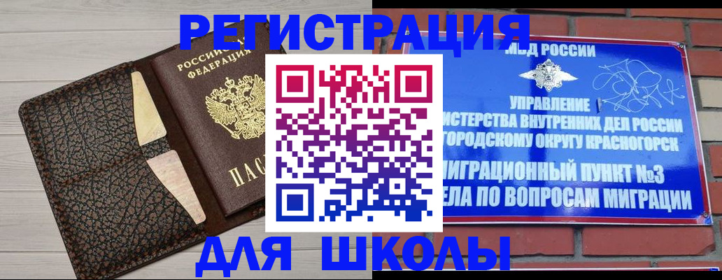 прописка в Купино